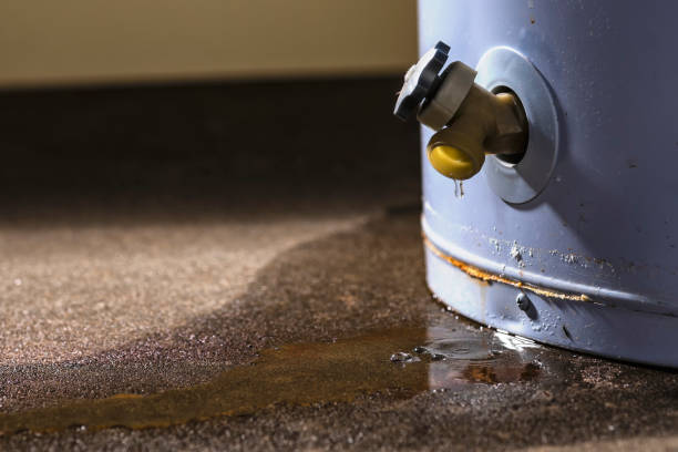 Best Water damage restoration services  in Shelby, MT
