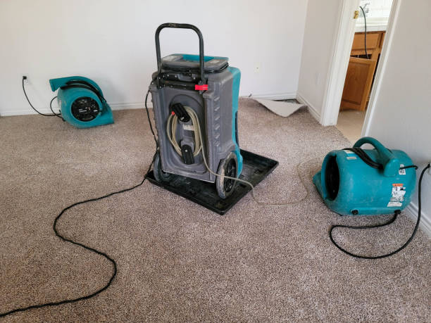 Best Local water damage restoration  in Shelby, MT