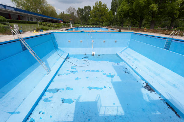 Best Water damage contractors near me  in Shelby, MT