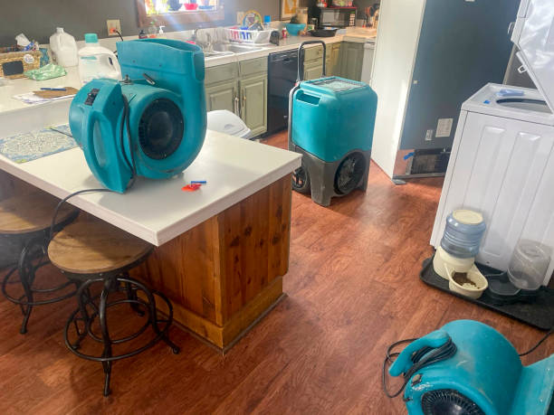 Best Emergency water damage restoration  in Shelby, MT