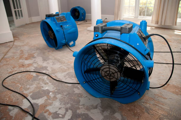 Best Water damage restoration near me  in Shelby, MT