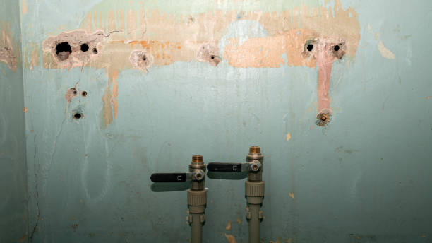 Best Ceiling water damage repair  in Shelby, MT