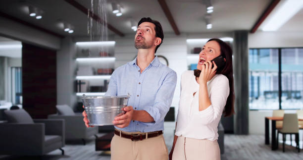 Best Commercial water damage restoration  in Shelby, MT