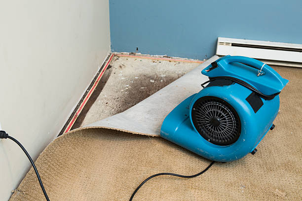 Best 24-hour water damage restoration  in Shelby, MT