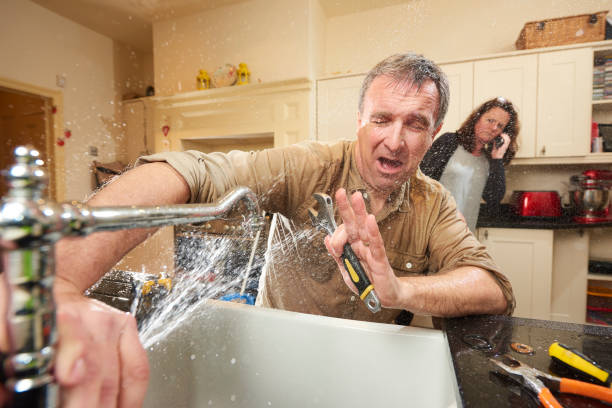 Best Professional water damage repair  in Shelby, MT